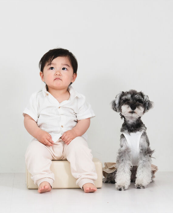 犬