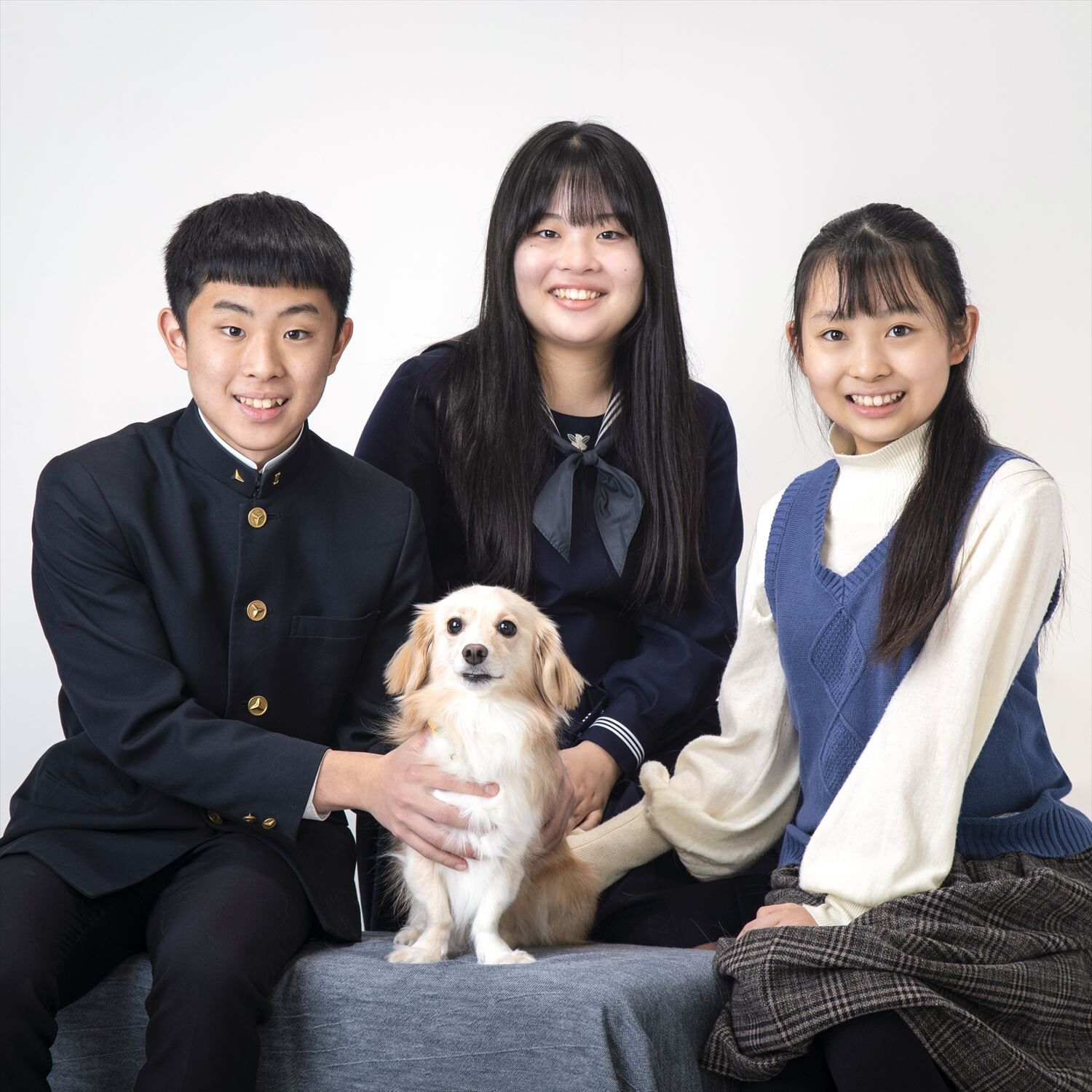 犬